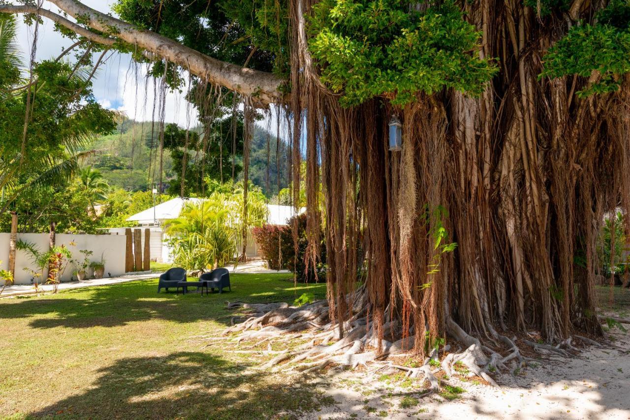 Moorea Beach Lodge מראה חיצוני תמונה