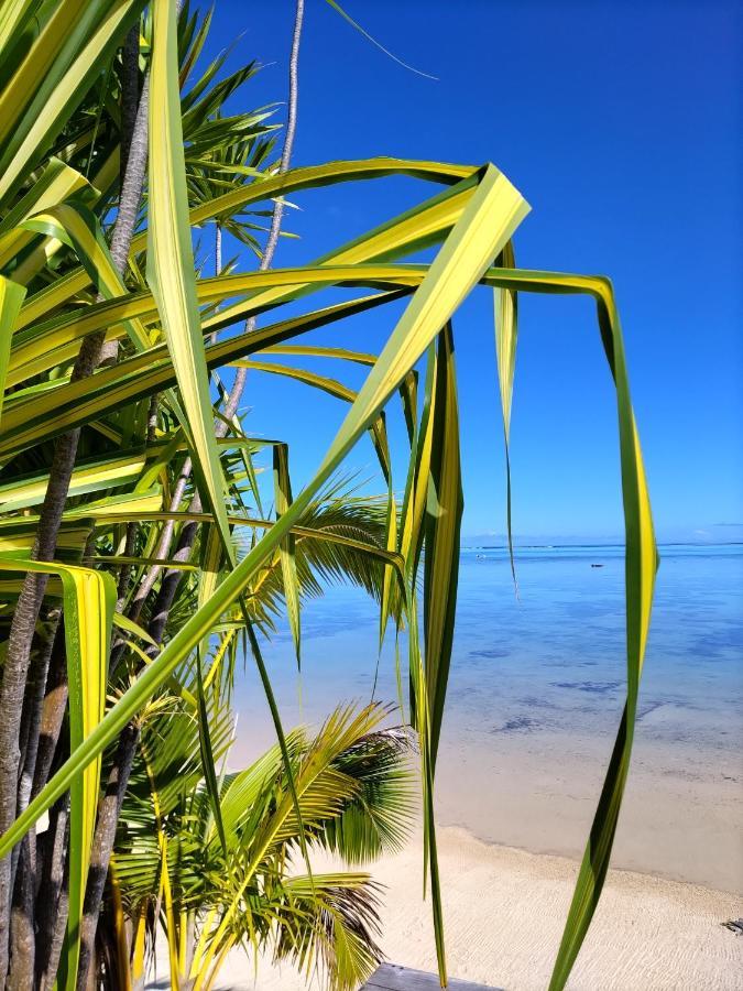 Moorea Beach Lodge מראה חיצוני תמונה