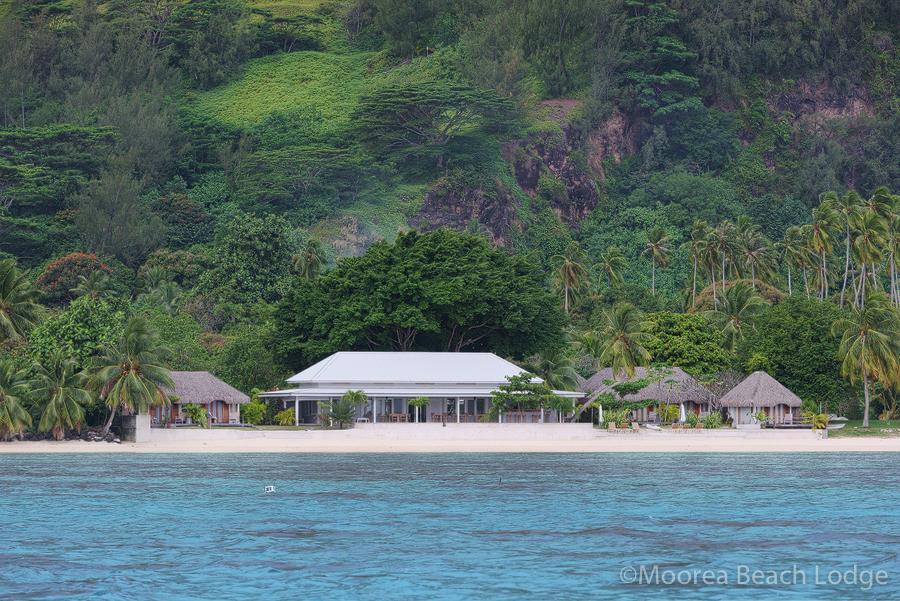 Moorea Beach Lodge מראה חיצוני תמונה